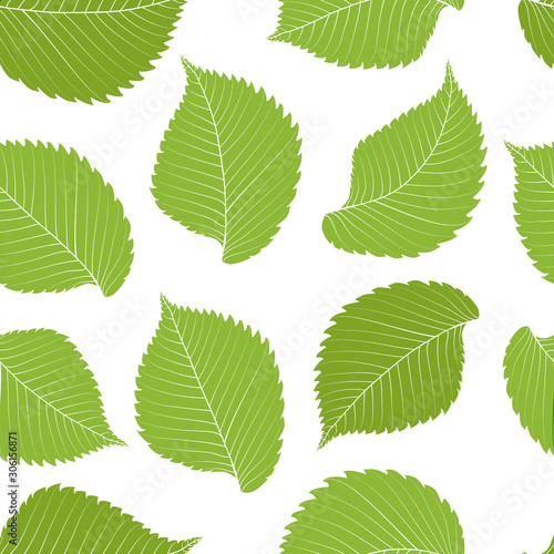 Green Elm leves seamless pattern. Vector illustration