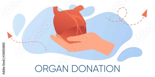 Organ donation web banner, flyer. Hand holding human realistic heart. National organ donor day. Internal organ for transplantation. Volunteering, saving lives and health care concept