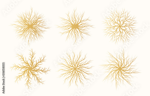Golden tree root frame set. Christmas wood snowflakes. Vector isolated timber background. Gold natural border.