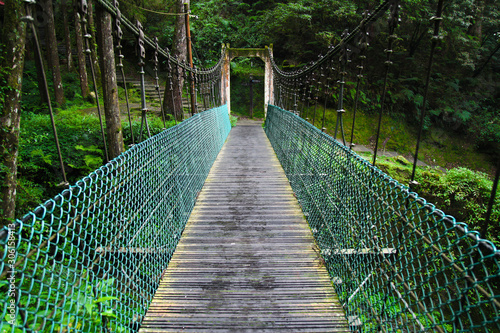 The green bridge in forest Alishan at taiwan