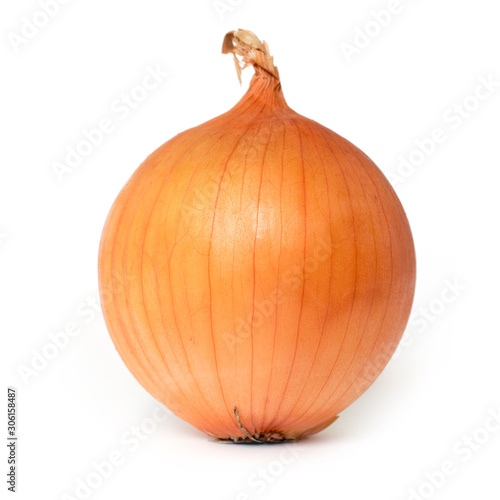 Bulb onion isolate on a white background