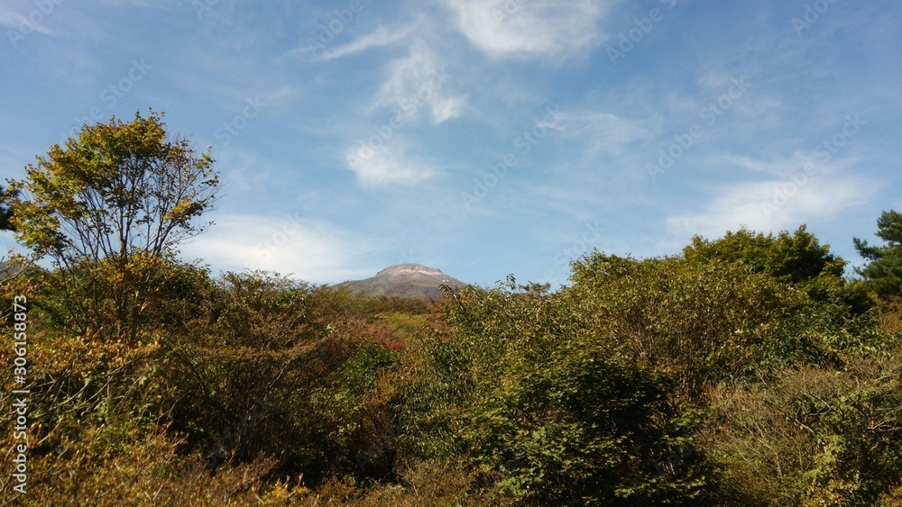 木々の奥に見える山 木々の奥に見える山