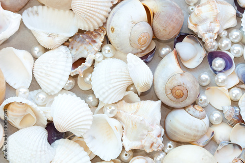 Seashells and pearls as background.