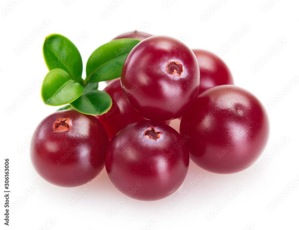 Fresh cranberry isolated on white background Fresh cranberry isolated on white background