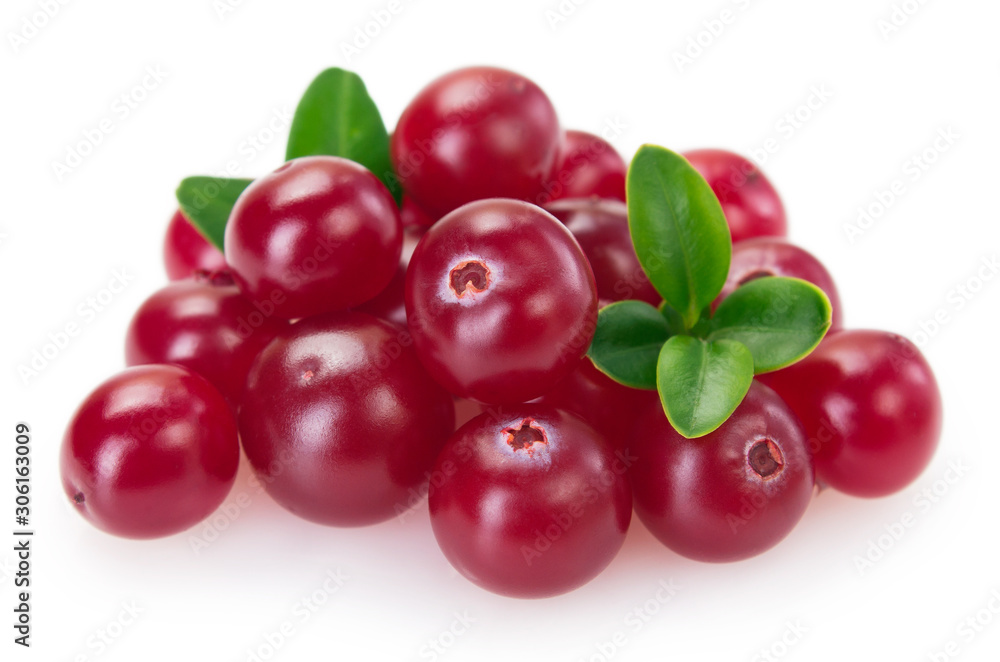 Obraz premium Fresh cranberry isolated on white background
