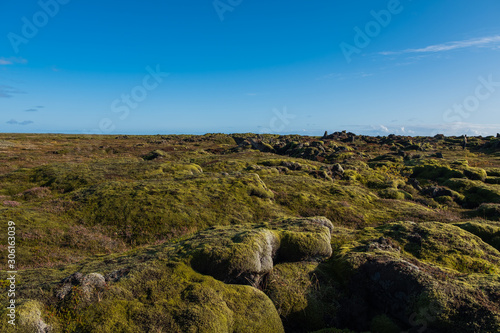 lava fields with moss covered lava rocks in Iceland. September 2019
