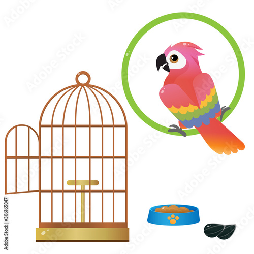 Color images of colorful parrot and bird cage on white background. Pets. Vector illustration set for kids.