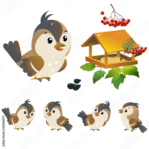Sparrow. Color image of cartoon bird with feeder on white background. Vector illustration set for kids.