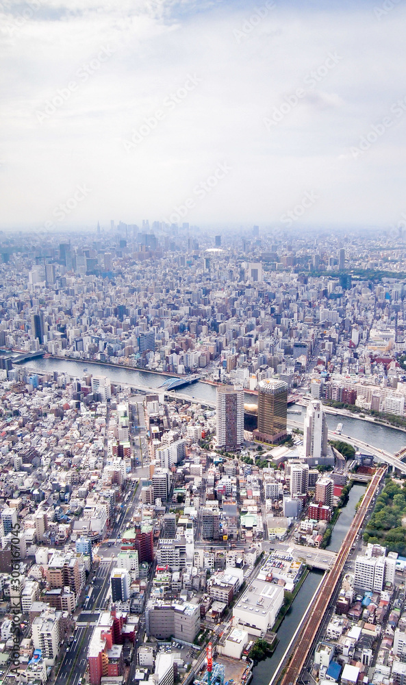 高所から見渡す東京の風景