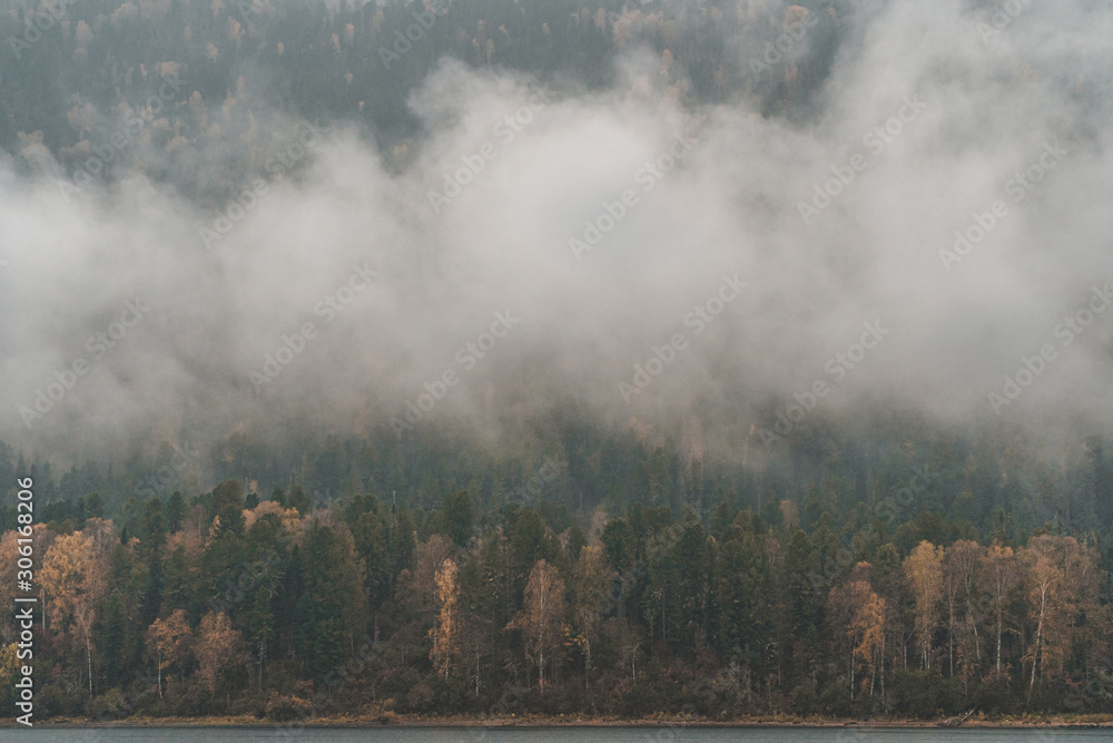 Autumn in the Altai Mountains, forest in the clouds