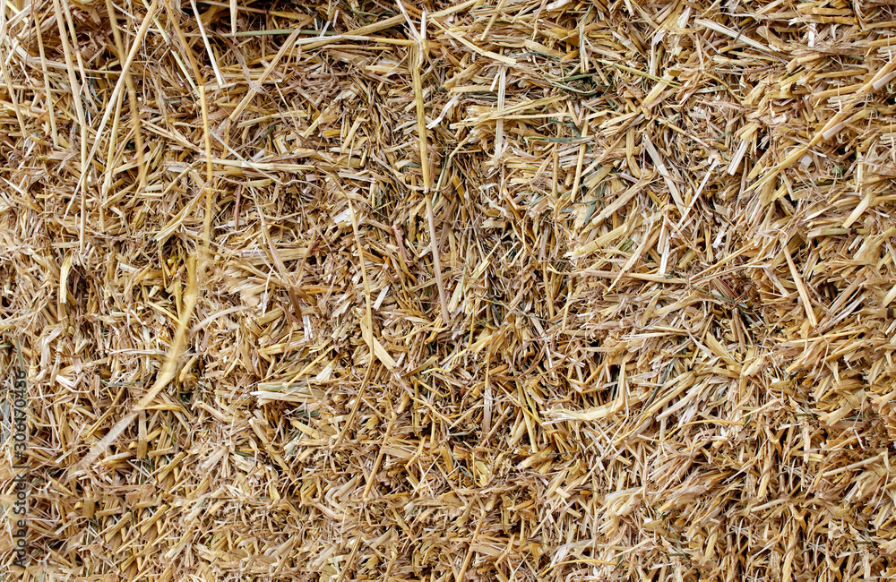 texture background cut dry hay close up
