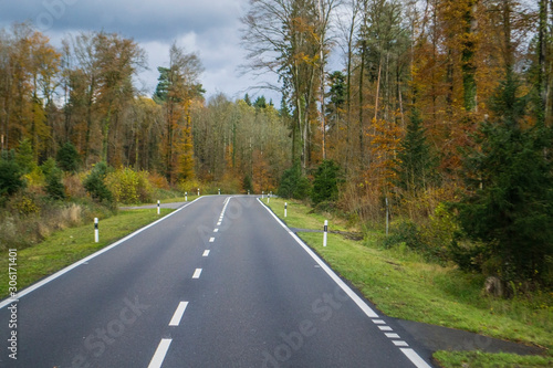 road in the forest