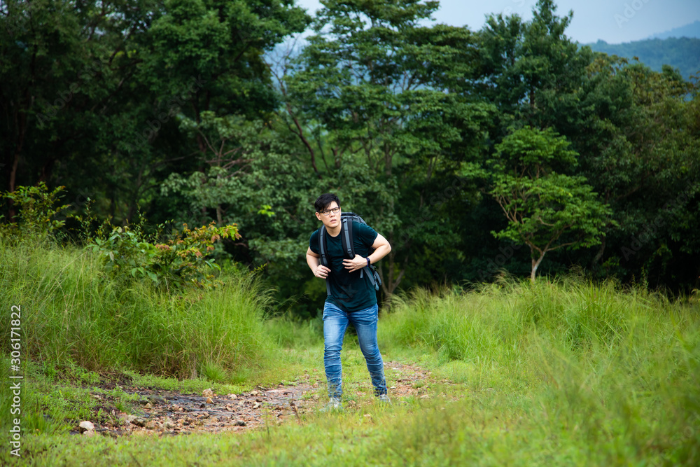 Young backpacker with backpack traveling along at forest. Tourist hiking in jungle forest. Young backpacker with backpack traveling along at forest. Tourist hiking in jungle forest.