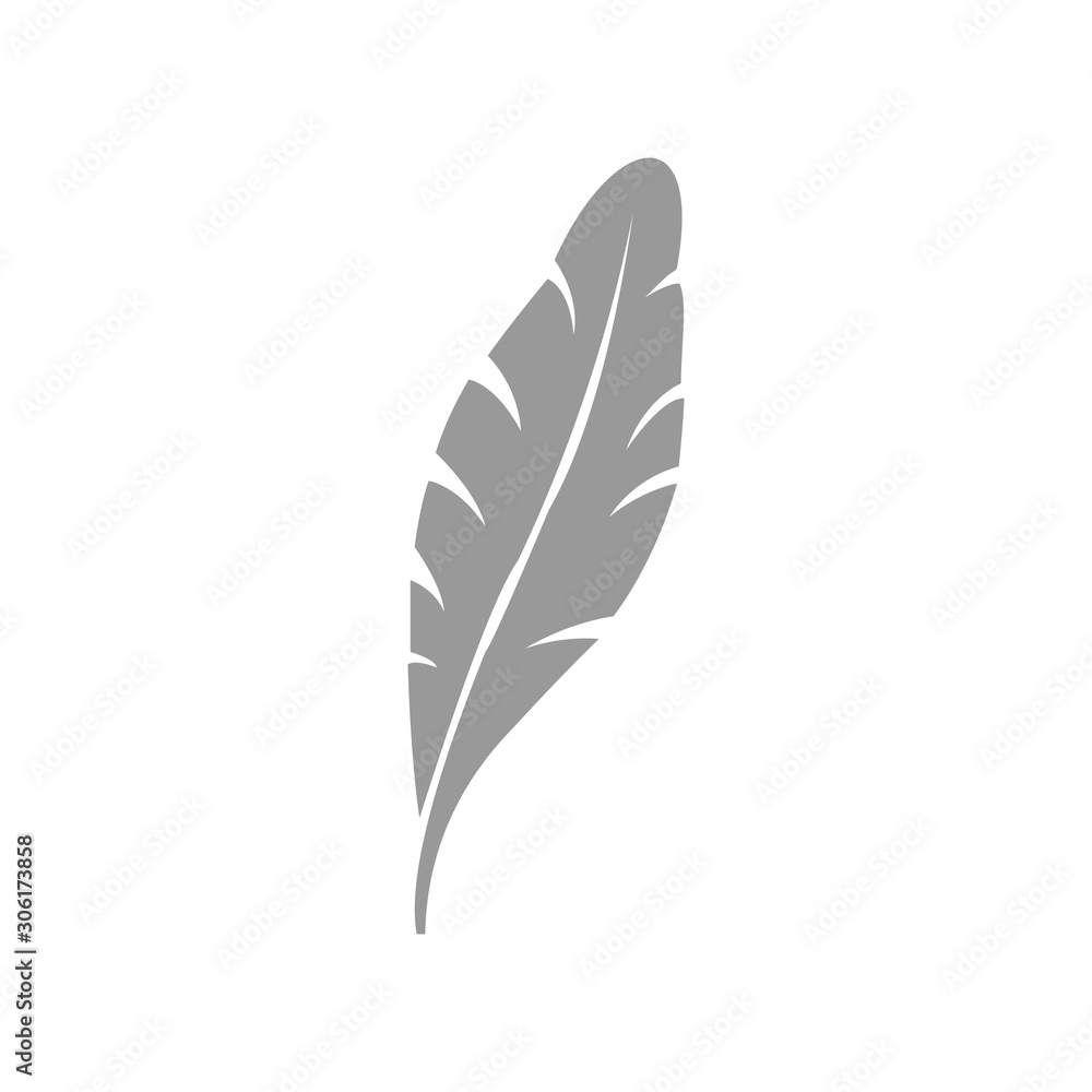 Obraz premium feather icon vector design symbol