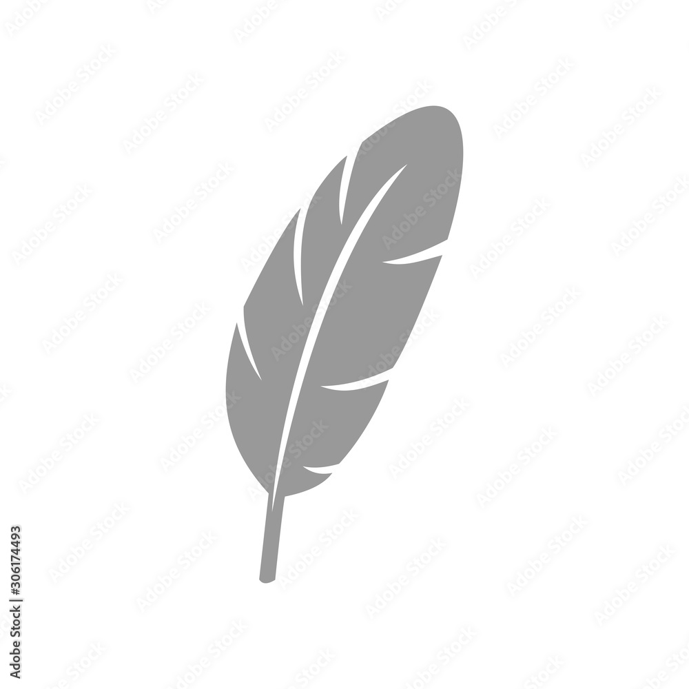 Obraz premium feather icon vector design symbol
