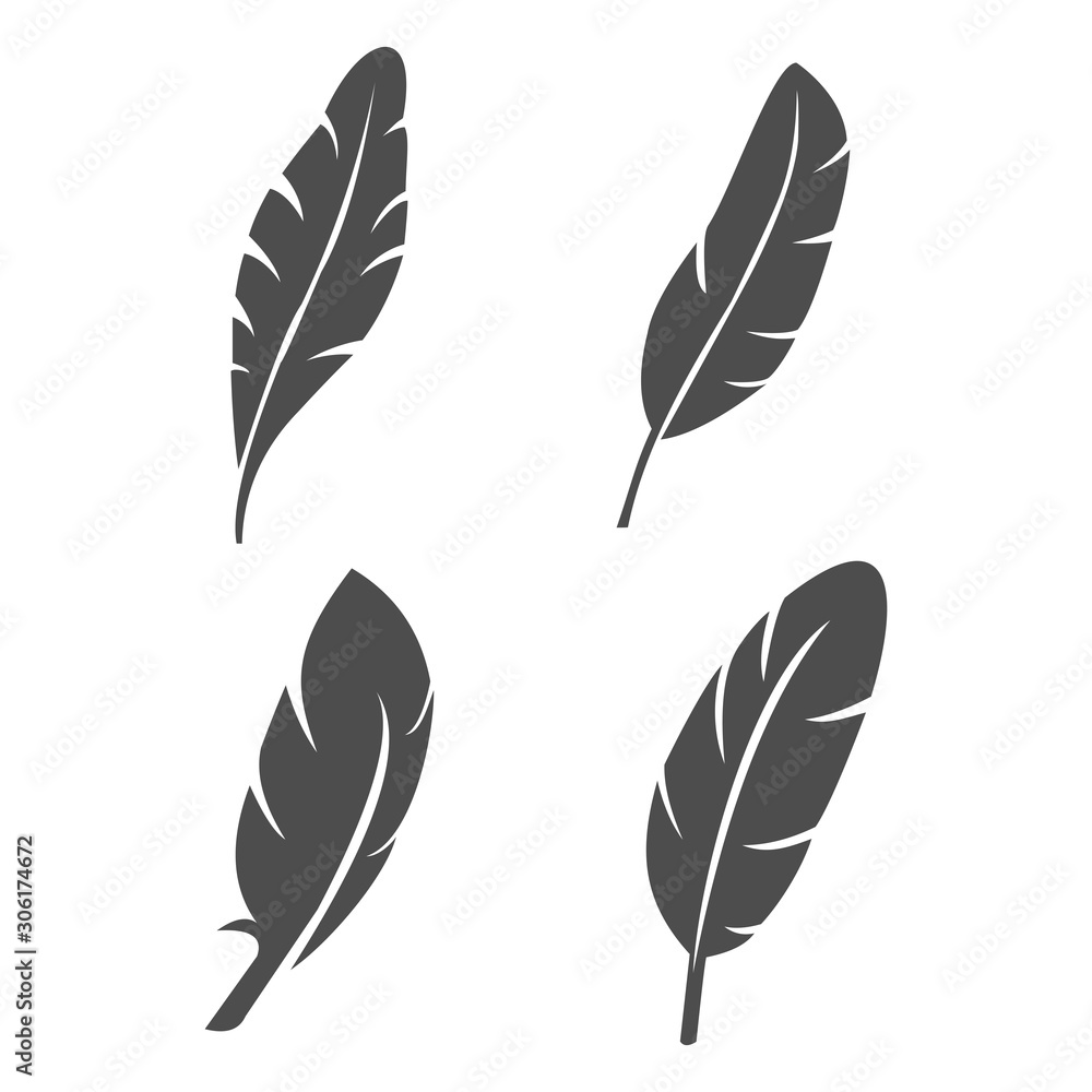 Obraz premium feather icon vector design symbol