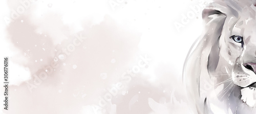 banner with leo, watercolor illustration. Drawing - lion isolated on white background