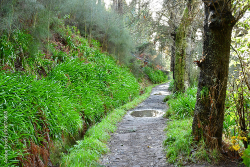 Madeiral, Camacha, Portugal - february 21 2018 : hiking trail in Camacha area photo