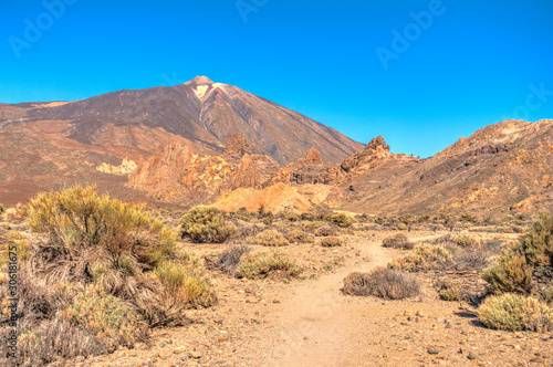 Volcanic landscape in Teide National Park