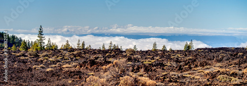 Volcanic landscape in Teide National Park