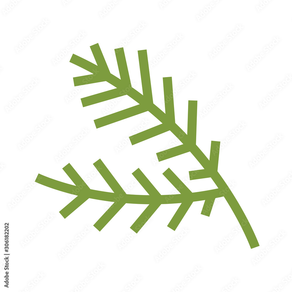 Color icon coniferous branch