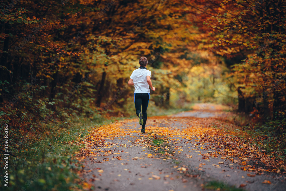 Fototapeta premium Runner trains in the picturesque autumn nature surrounded by colorful forest.