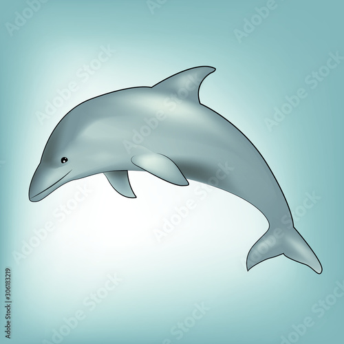 Drawn beautiful dolphin in eps vector