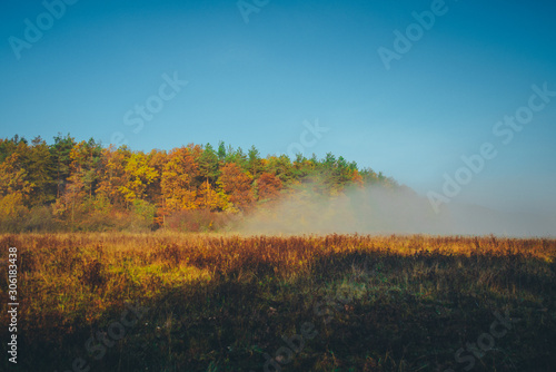 Morning autumn landscape. Colorful trees and mist  indian Summer