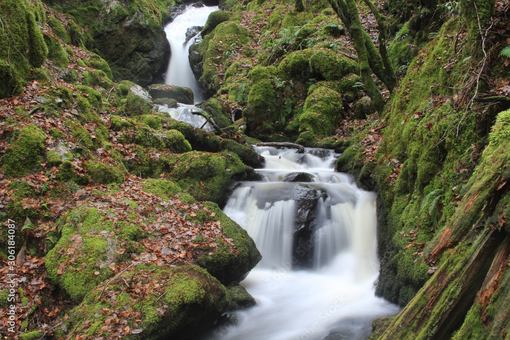 Waterfall in the forest 