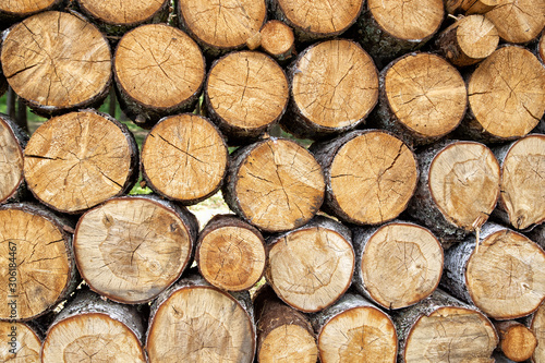Sawn logs. Pile stacked natural sawn wooden logs background  top view