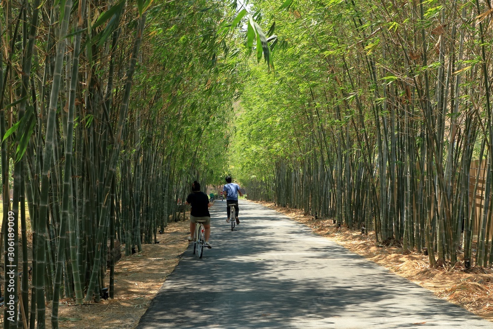 Popular attraction in thailand to take pictures and relax place, Tourists ride bicycle along the path between bamboo arches.