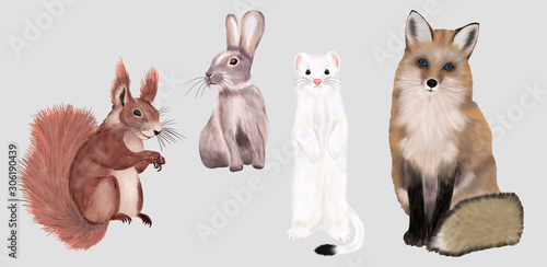 Wild animals set. Fox, weasel, rabbit, Squirrel. Hand drawn wild characters.