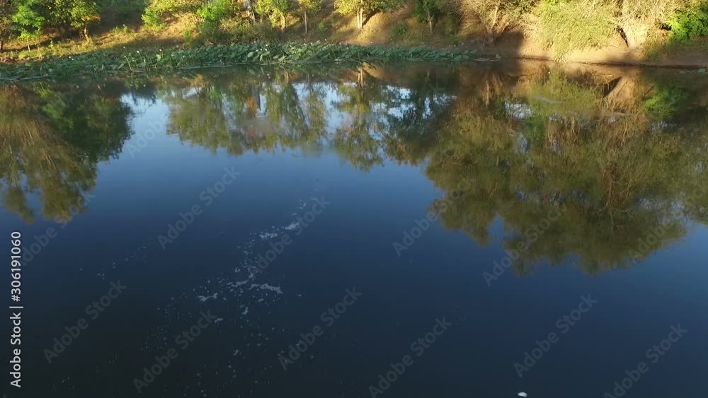 Lake with water lilies and reflection of trees in water Lake with water lilies and reflection of trees in water