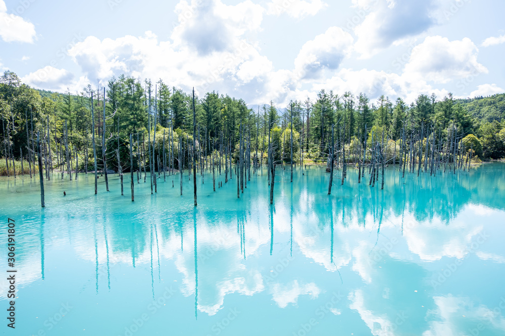 Shirokane Aoi ike (Blue pond) at Biei, Hokkaido, Japan