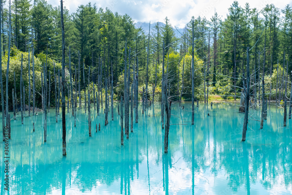 Shirokane Aoi ike (Blue pond) at Biei, Hokkaido, Japan Shirokane Aoi ike (Blue pond) at Biei, Hokkaido, Japan