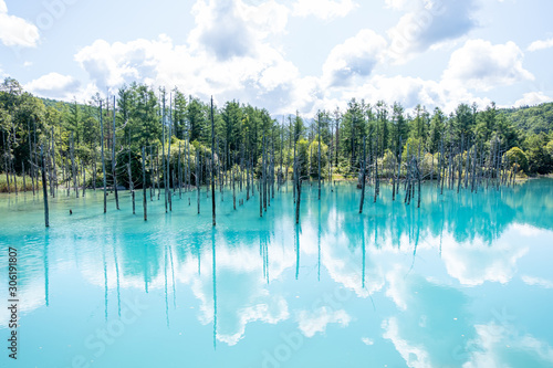 Shirokane Aoi ike (Blue pond) at Biei, Hokkaido, Japan