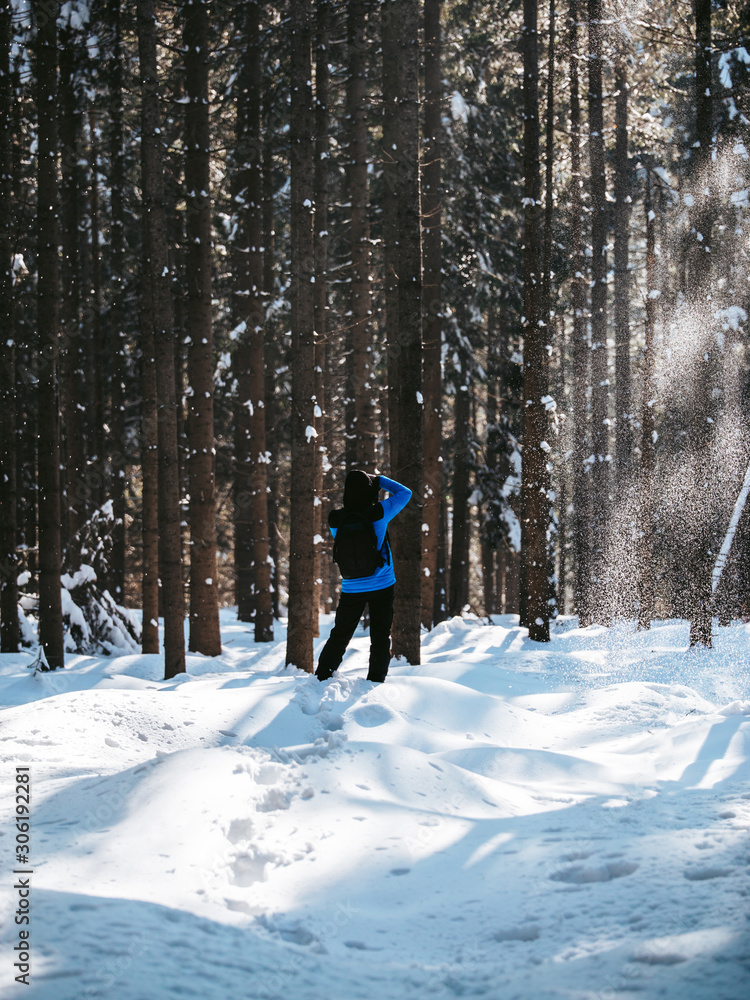 Nature photographer taking photos from the frozen trees during winter in the forest