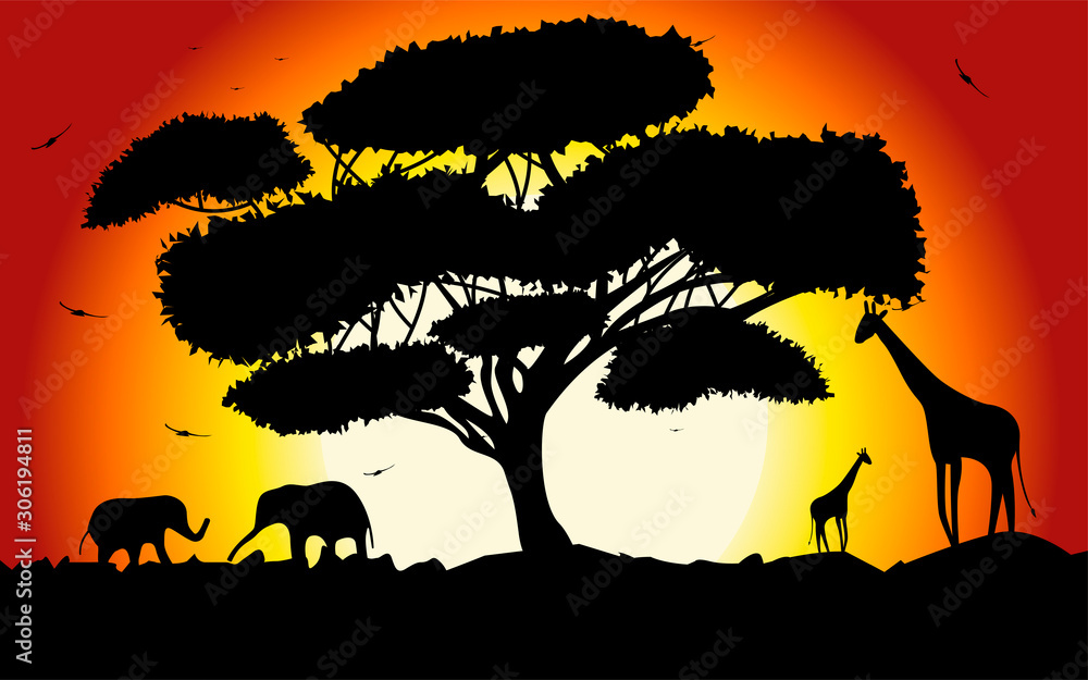 Sunset or Sunrise in Africa with the silhouettes of trees, grass, flying birds, elephants, giraffes, national home and native. The beautiful landscape of the African savannah