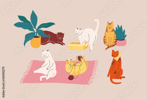 Vector illustration set of adorable catsn in different poses sleeping, stretching itself, playing with ball of yarn