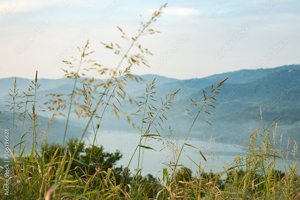 Mountain landscape. In the foreground is tall grass, in the background is a reservoir in the mountains. Selective focus.