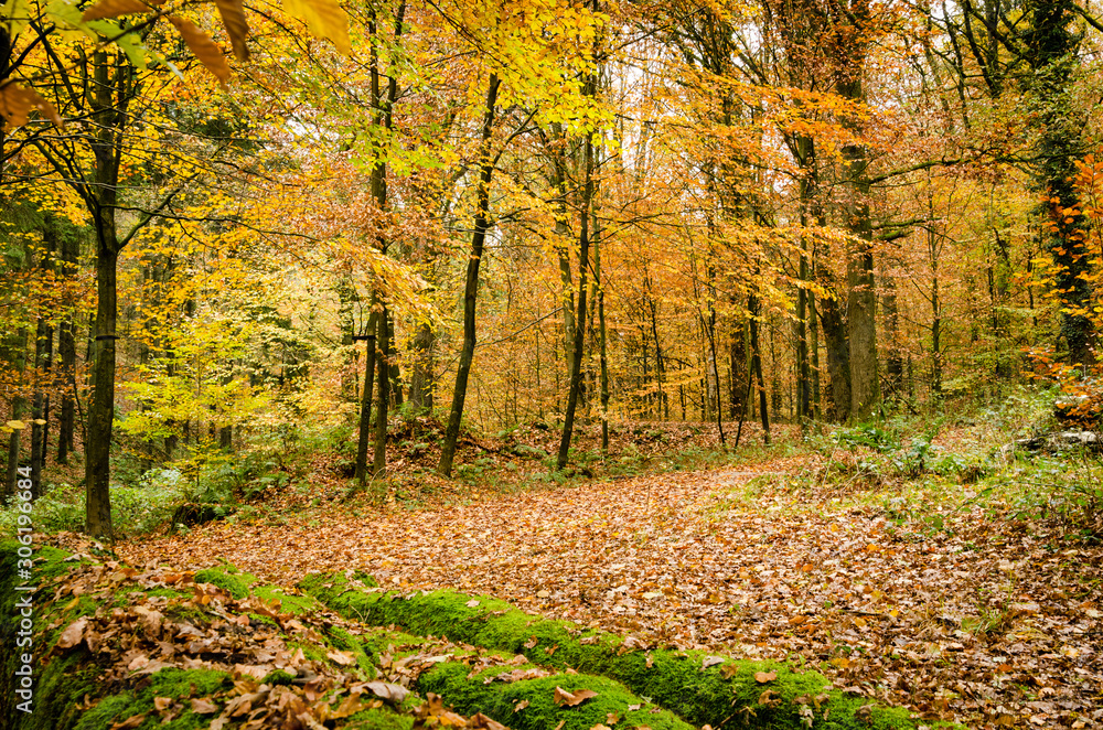 Teutoburger Wald