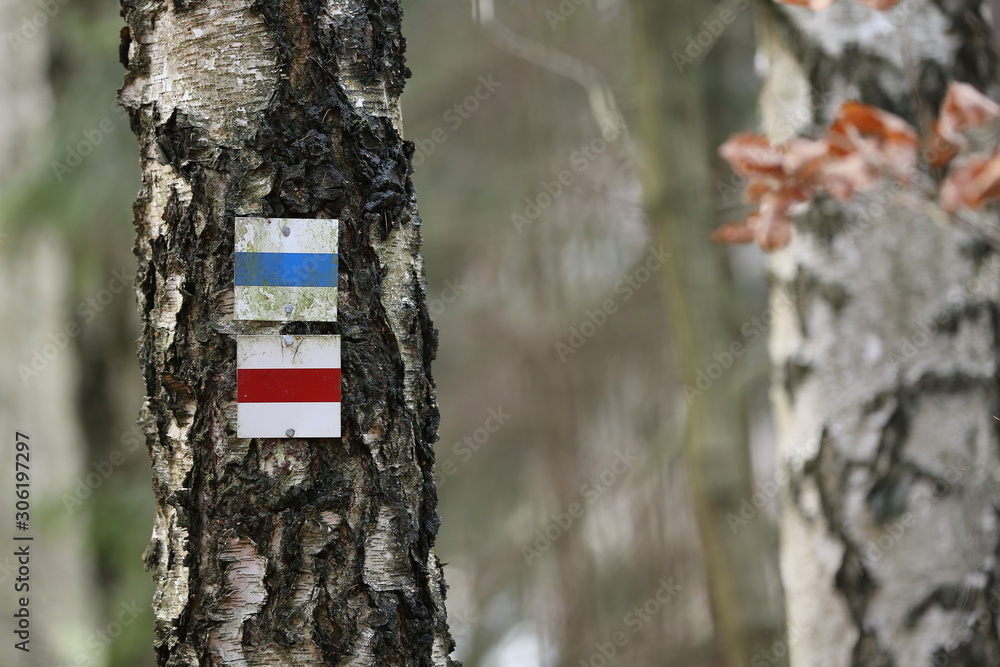 Fototapeta premium Wegweiser zur Orientierung im Wald