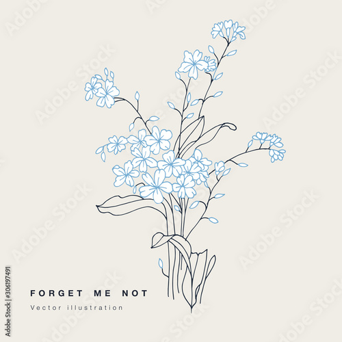 Hand draw vector forget ma not flowers illustration. Floral wreath. Botanical floral card on white background.