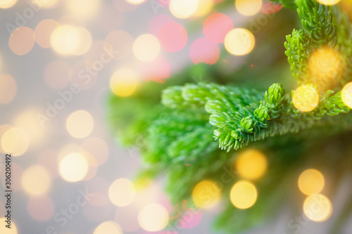 Closeup Christmas tree with bokeh light background
