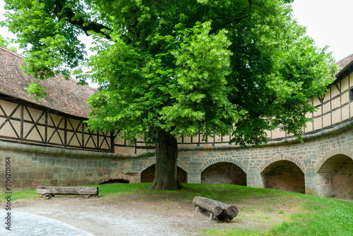 big tree in a small park and a stone bridge in an old castle