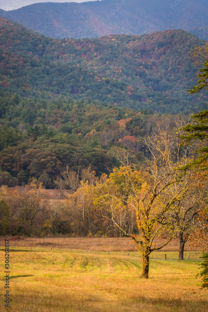 Great Smoky Mountains   