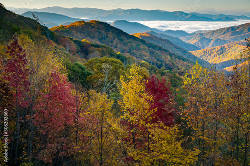 Great Smoky Mountains