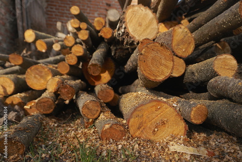 pile of wooden logs  logging
