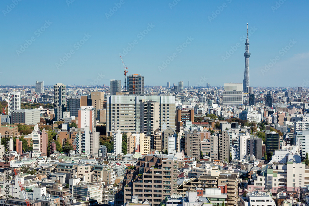 Naklejka premium Widok Tokyo Skytree z tarasu widokowego Bunkyo