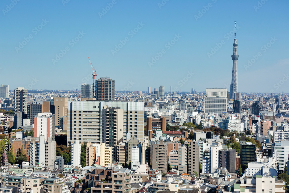 Tokyo Skytree view from Bunkyo Observation Deck